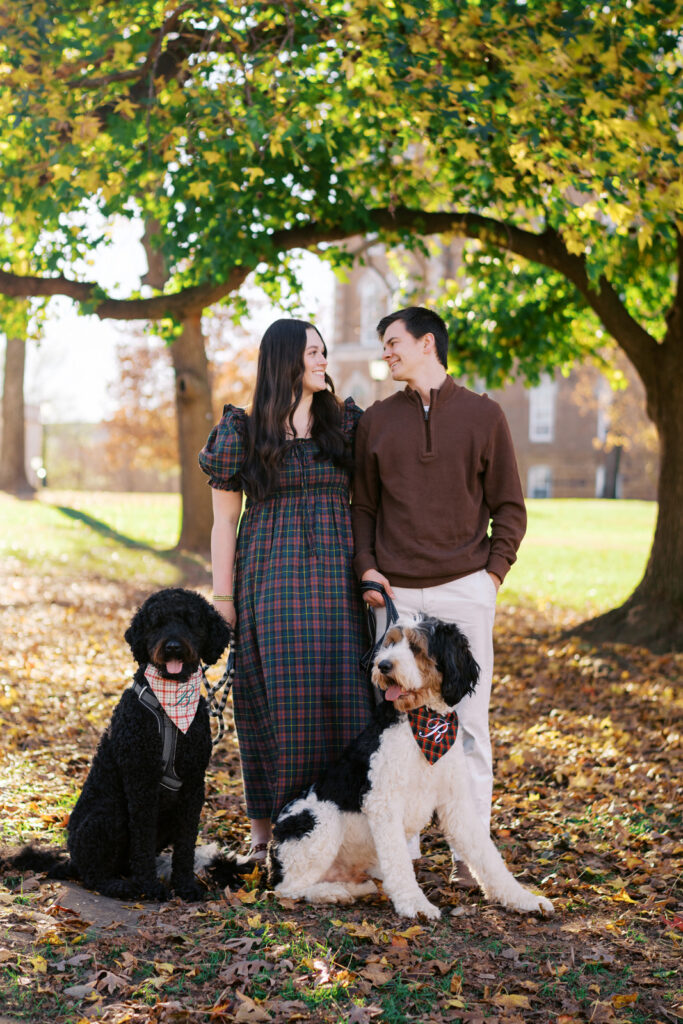 fayetteville ar family photographer 
